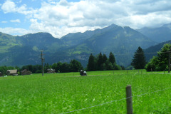 SAM_0320